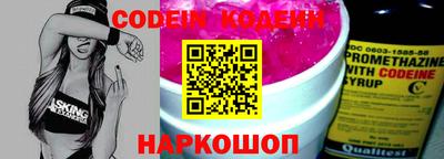 индика Гусев