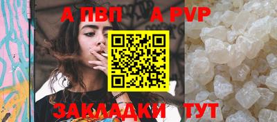 индика Гусев