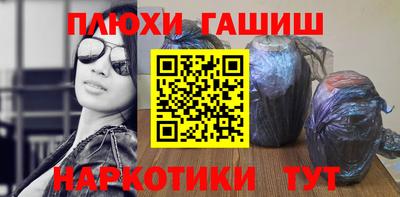 индика Гусев