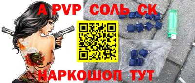 индика Гусев