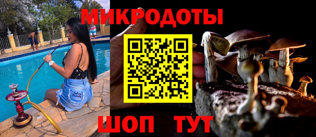 Галлюциногенные грибы мицелий Минусинск
